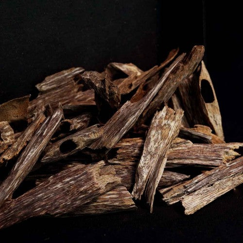 هيندي موري سوبير (ينديا)