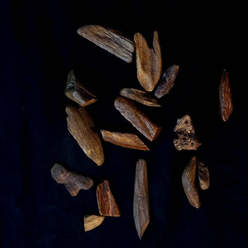 وود موروكي (يندونيسيا)