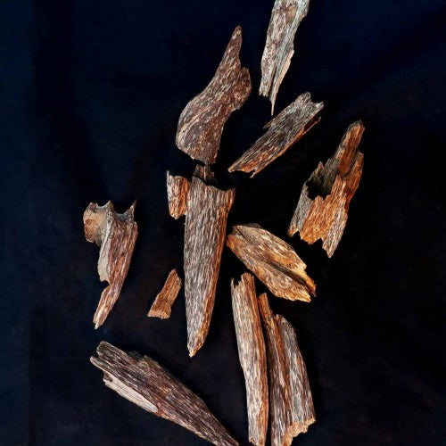 فييت موري وود (فييتنام)