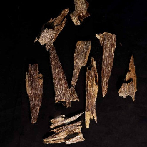 هيندي موري سوبير (ينديا)